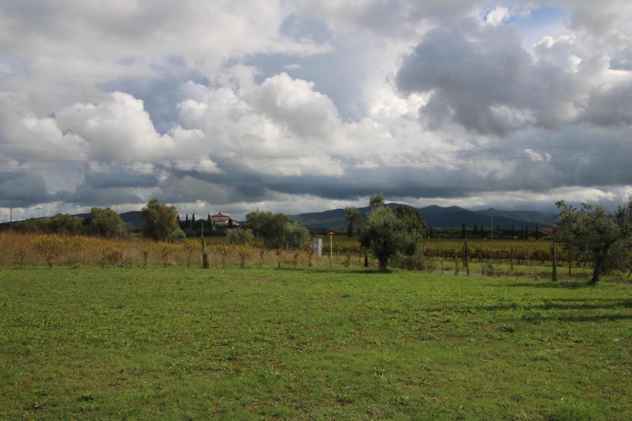 ביבונה Podere Campo Alle Serpi מראה חיצוני תמונה