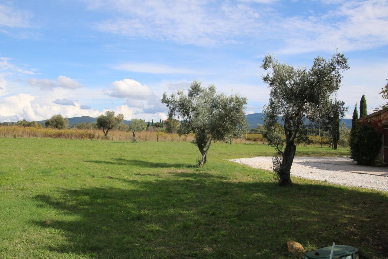 ביבונה Podere Campo Alle Serpi מראה חיצוני תמונה