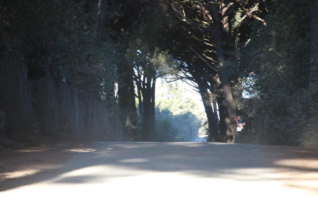 ביבונה Podere Campo Alle Serpi מראה חיצוני תמונה