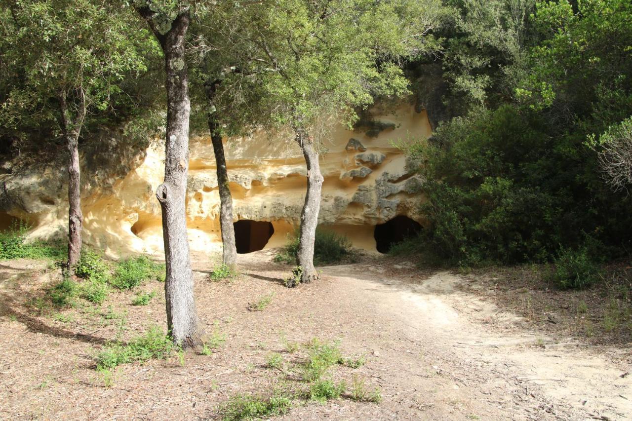 ביבונה Podere Campo Alle Serpi מראה חיצוני תמונה