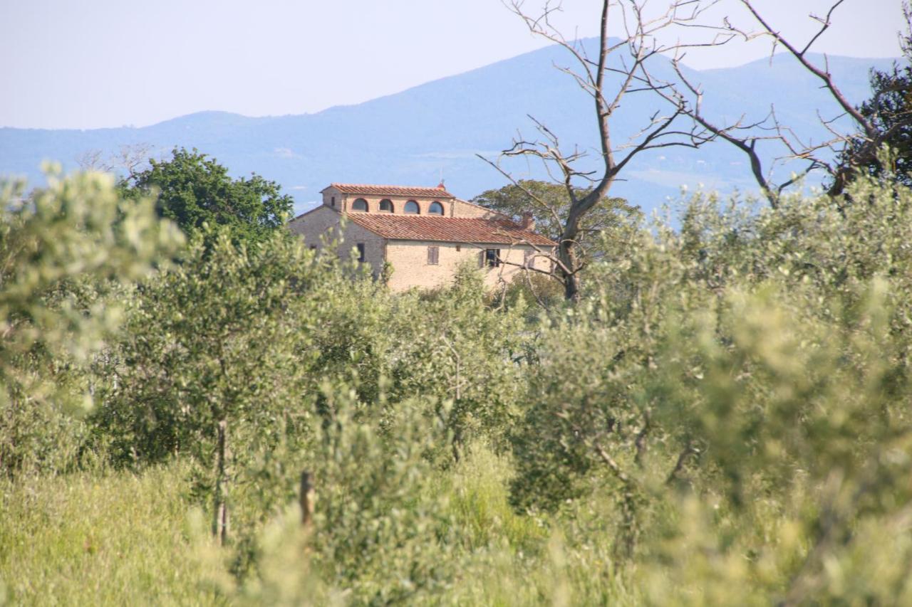 ביבונה Podere Campo Alle Serpi מראה חיצוני תמונה