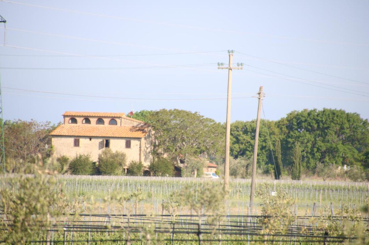 ביבונה Podere Campo Alle Serpi מראה חיצוני תמונה