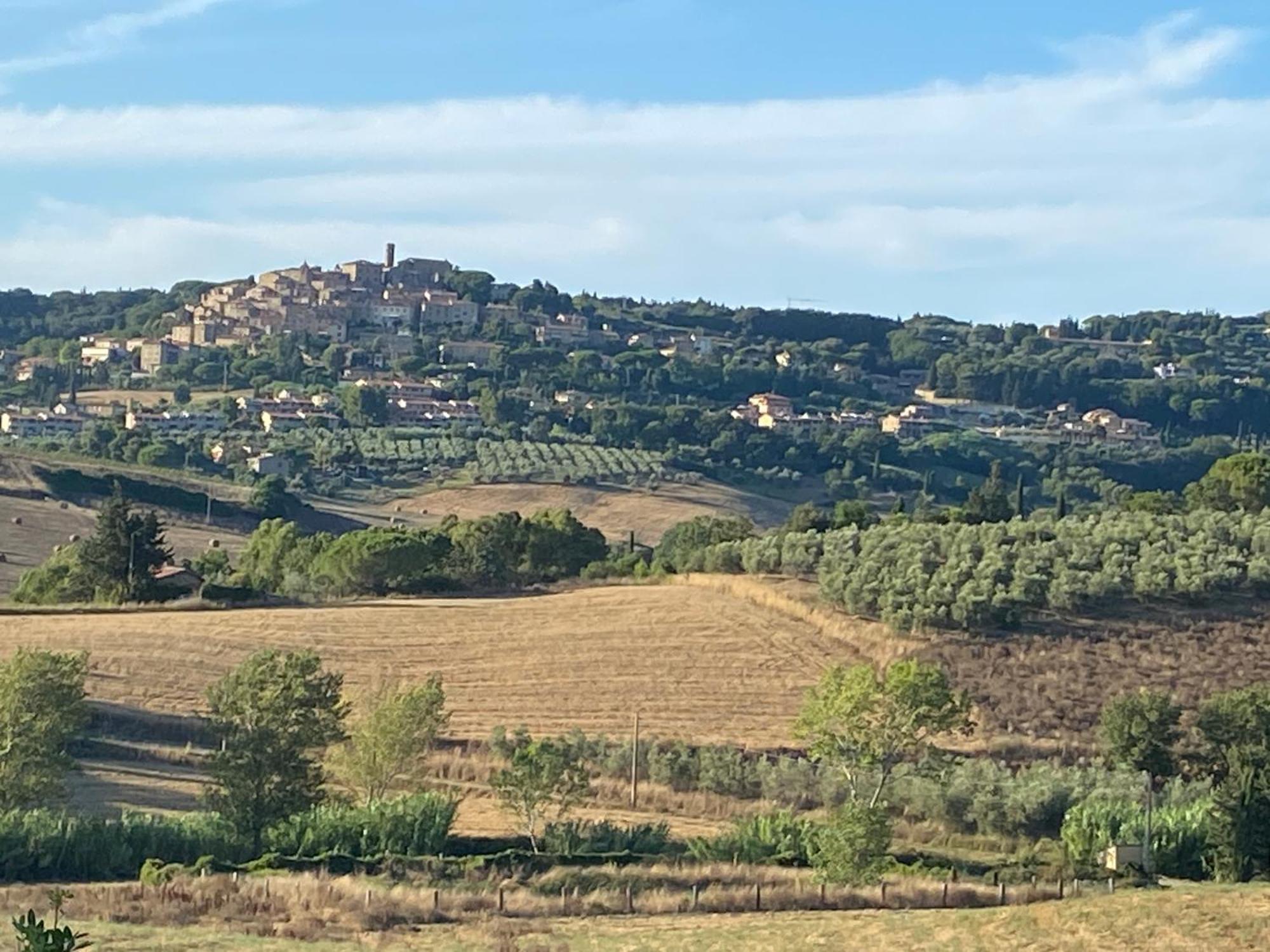 ביבונה Podere Campo Alle Serpi מראה חיצוני תמונה