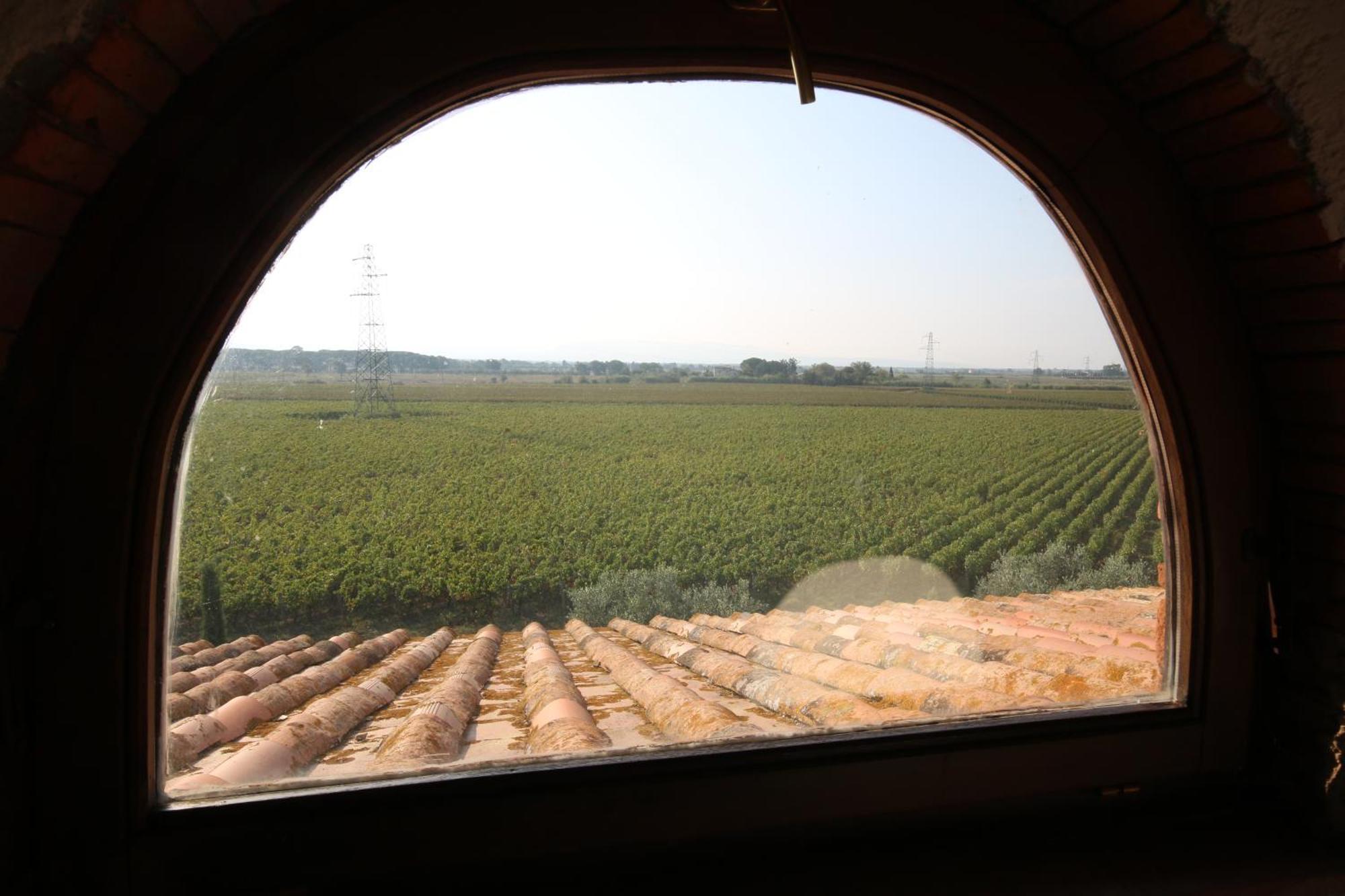 ביבונה Podere Campo Alle Serpi מראה חיצוני תמונה