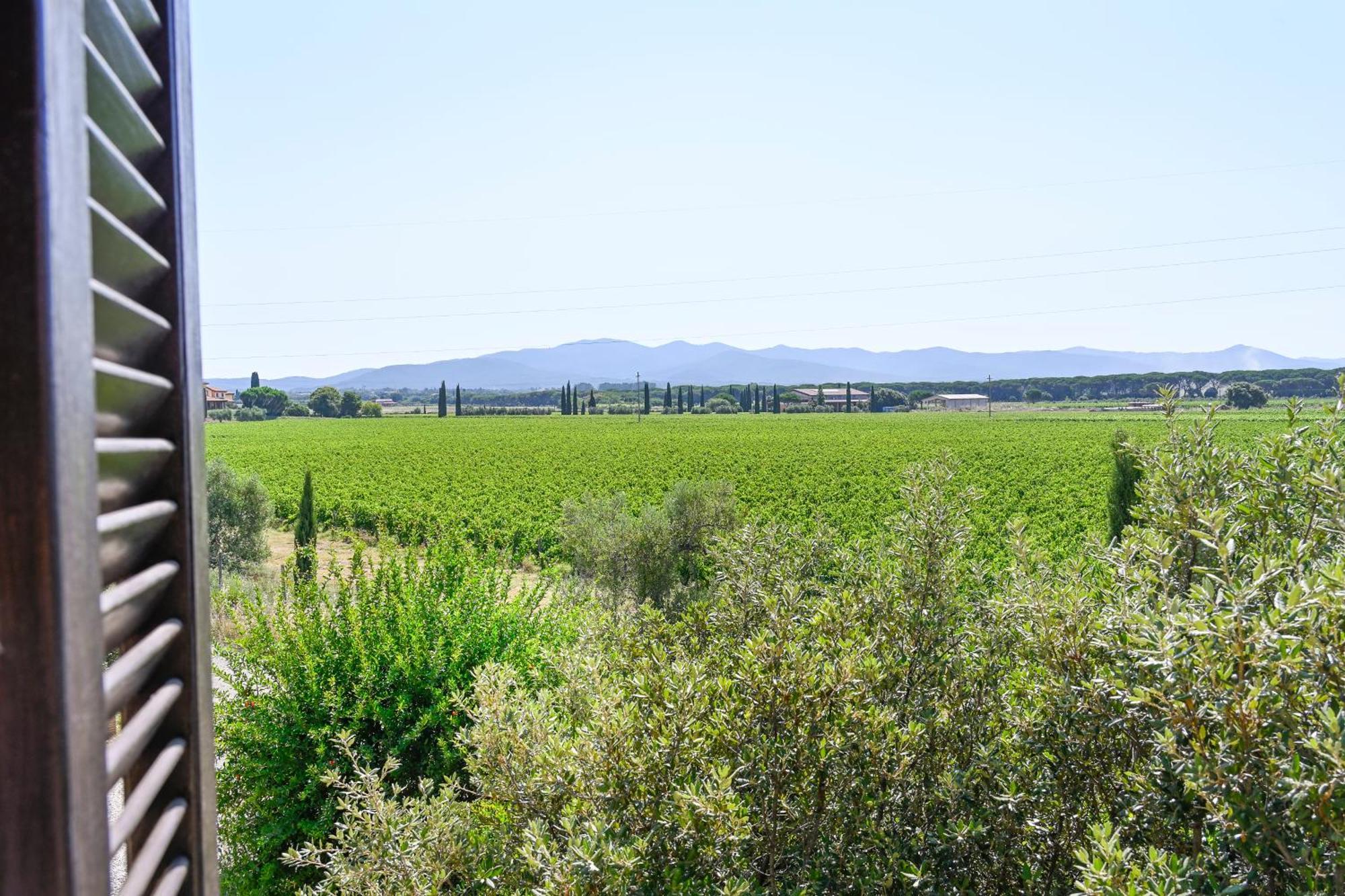 ביבונה Podere Campo Alle Serpi חדר תמונה