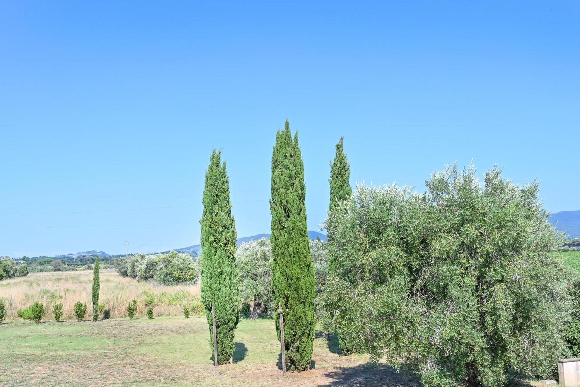 ביבונה Podere Campo Alle Serpi חדר תמונה