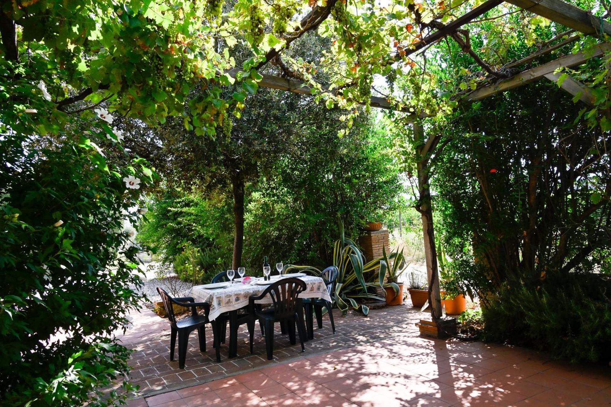 ביבונה Podere Campo Alle Serpi חדר תמונה