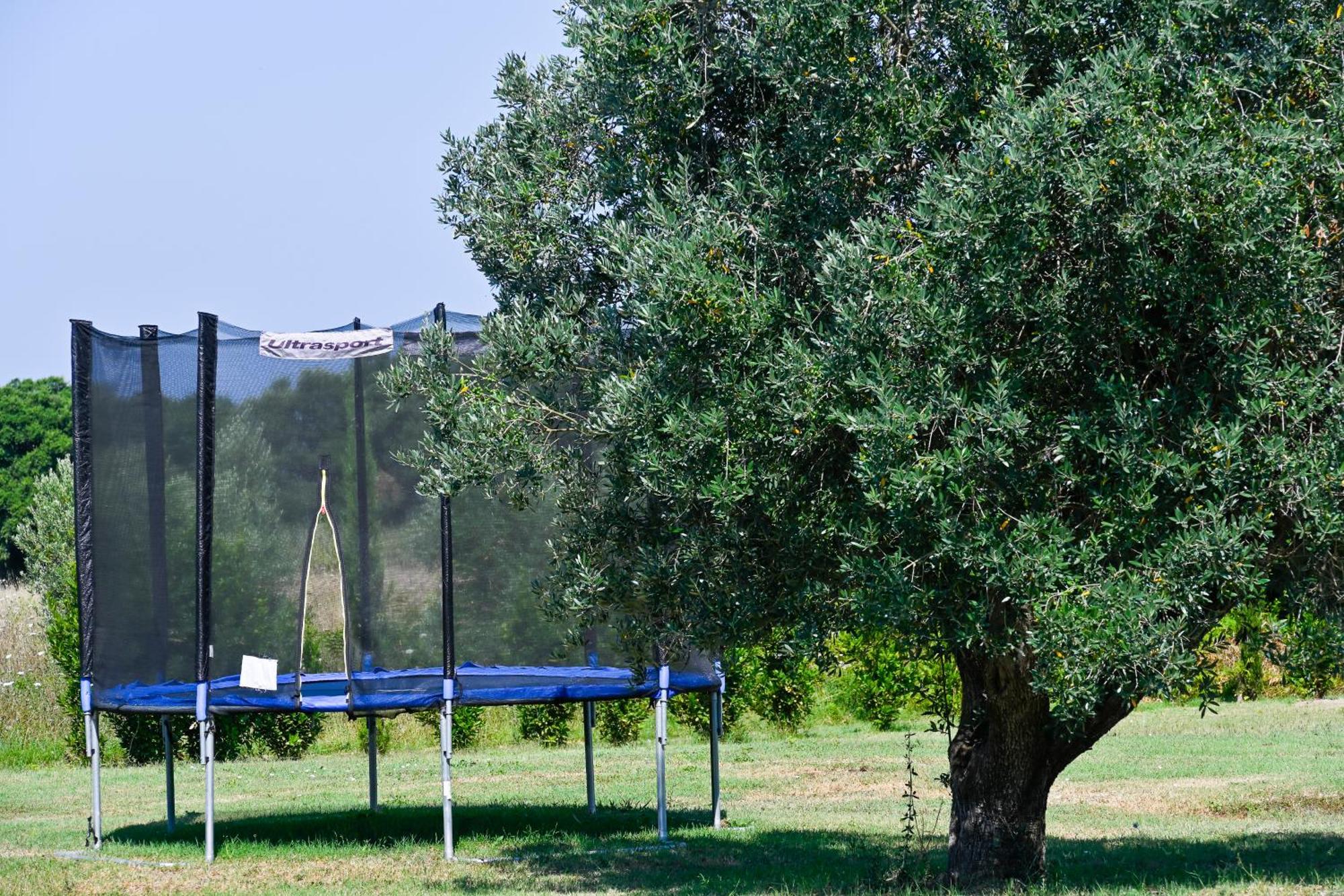 ביבונה Podere Campo Alle Serpi מראה חיצוני תמונה